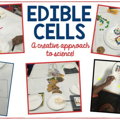 Making Science Creative With Edible Plant and Animal Cells